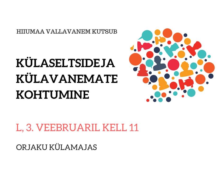 Külade kohtumine vallavanemaga